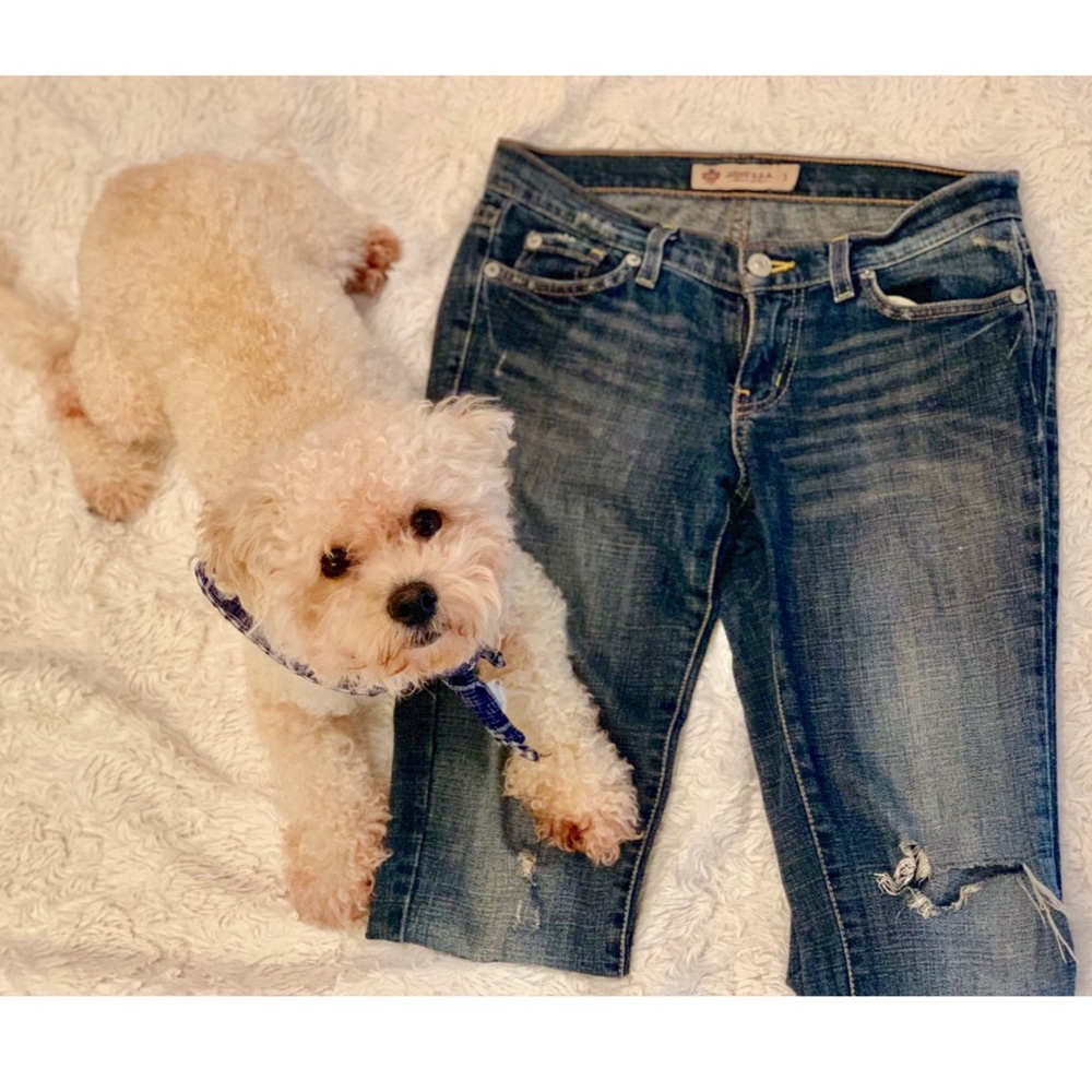 Just USA: Straight legged ripped jeans 👖